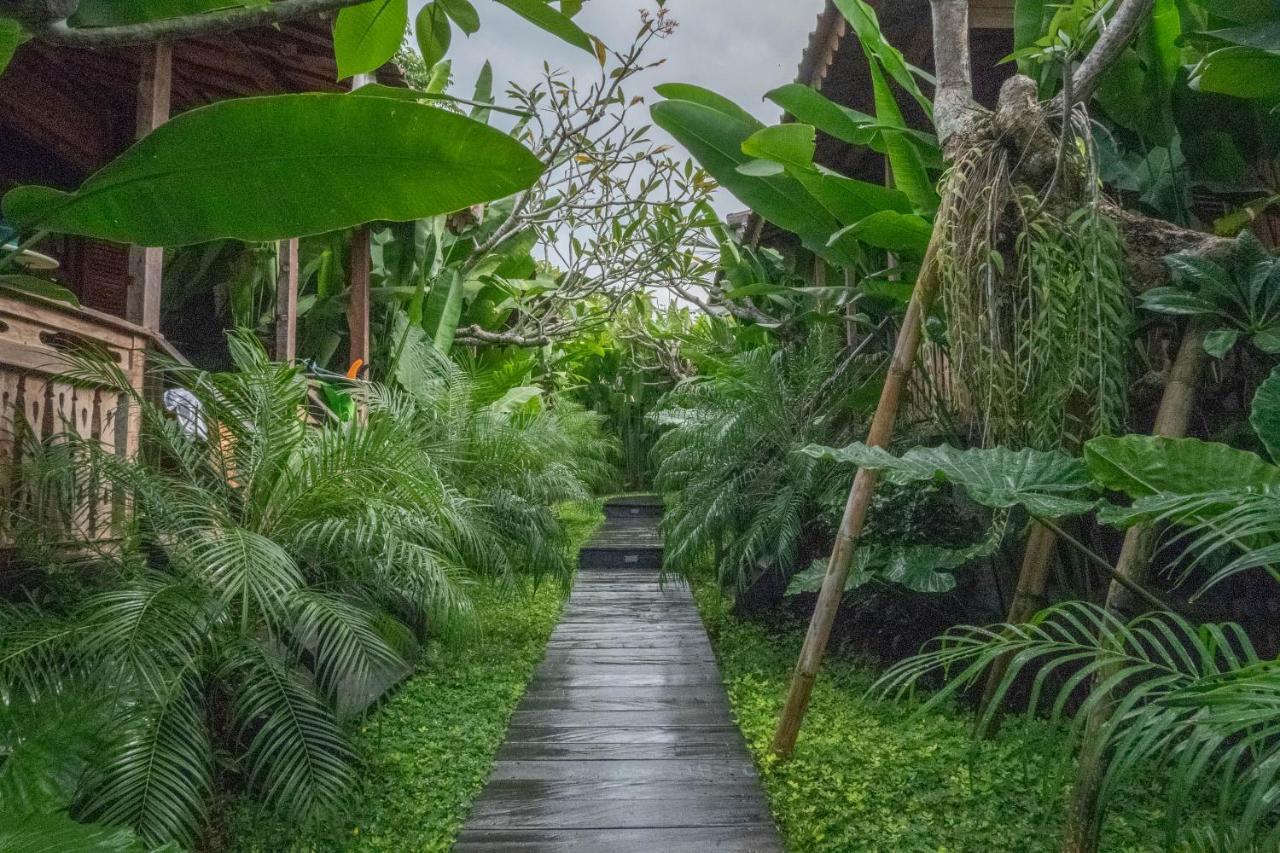 Bajalo Cottage Canggu Exterior foto
